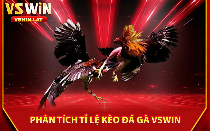 Đá Gà VSWIN – Trực Tiếp Các Trận Đấu Hấp Dẫn, Thắng Lớn 2 Phân Tích Tỉ Lệ Kèo Đá Gà VSWIN